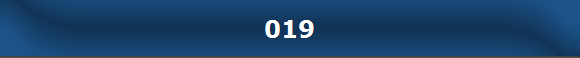 019
