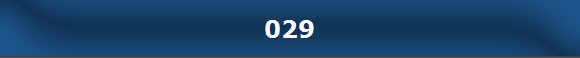 029