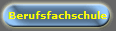 Berufsfachschule