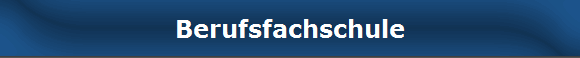 Berufsfachschule