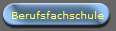 Berufsfachschule