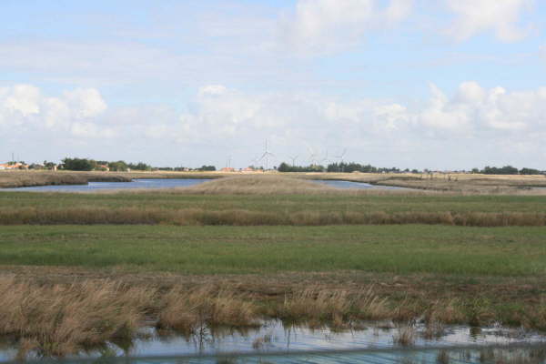 Bretignolles sur Mer