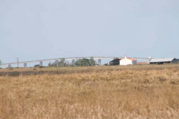 Bretignolles sur Mer