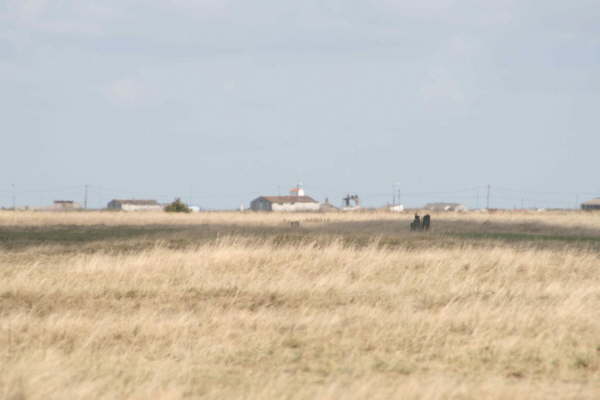 Bretignolles sur Mer