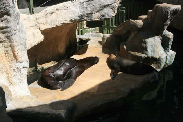 Bretignolles sur Mer