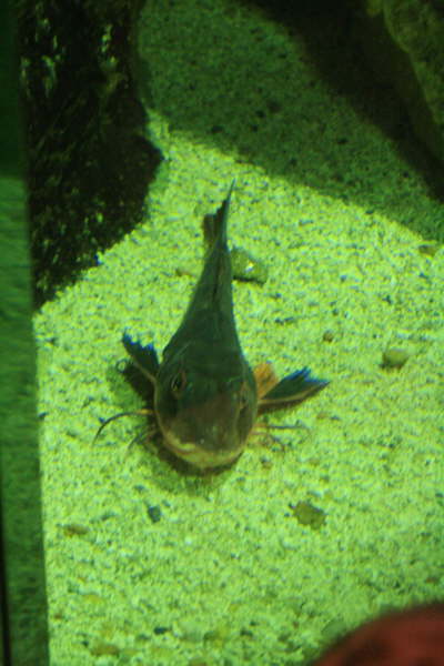 Bretignolles sur Mer